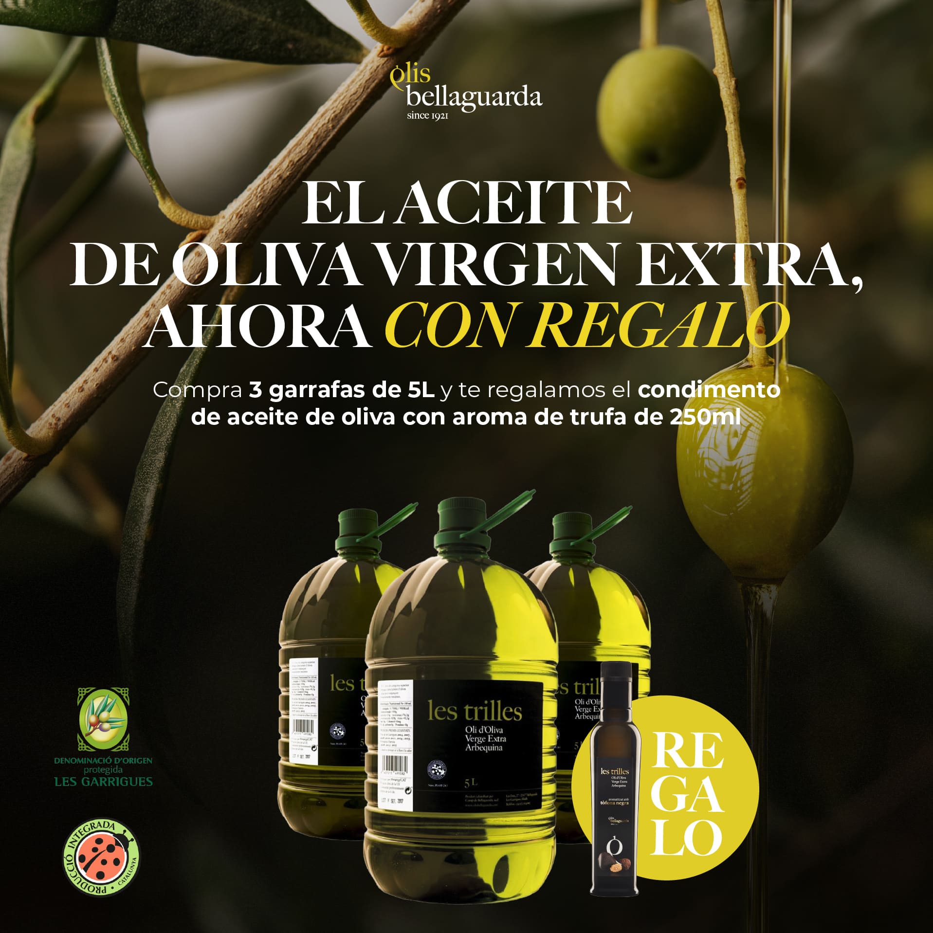 Aceite de Oliva Virgen Extra, comprar aceite de oliva oferta